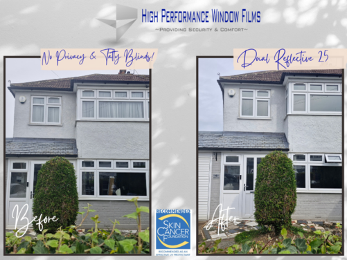 Window Film Image Gallery