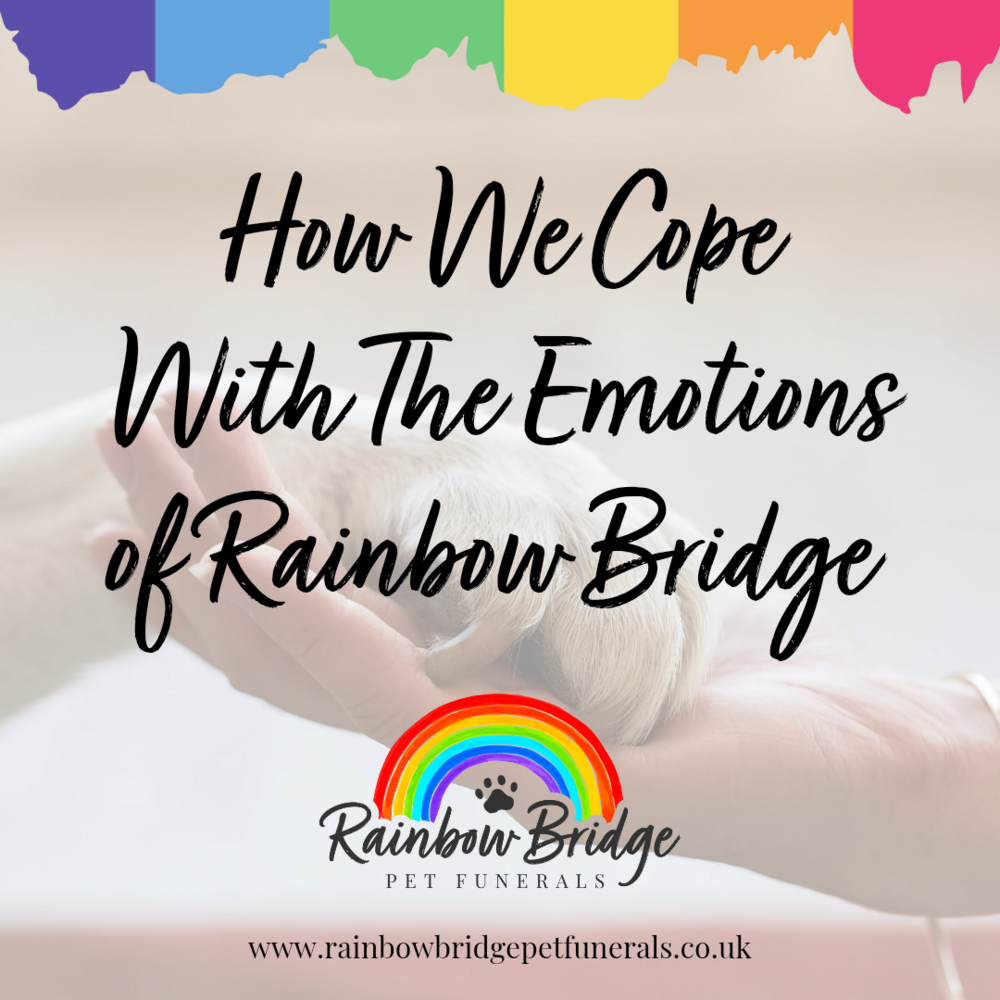 How we cope with the emotions of Rainbow Bridge 