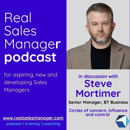 16. Steve Mortimer, working in large and smaller organisations