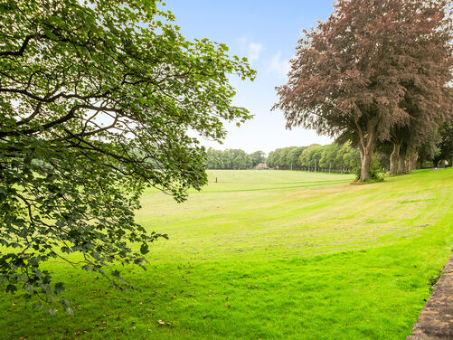 Tulligarth Park, Alloa, FK10 2DD