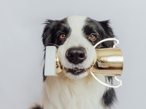 The Best Fraud and Scam Claim Solicitors in the UK