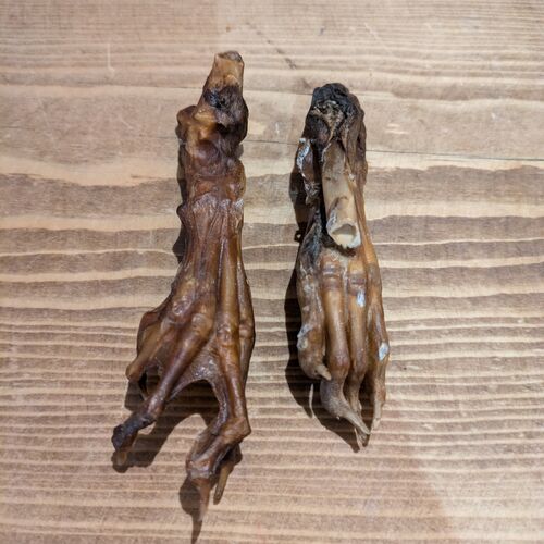 Natural Rabbit Feet x2