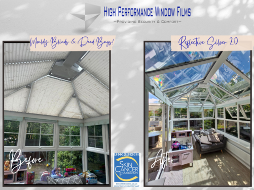 Window Film Image Gallery
