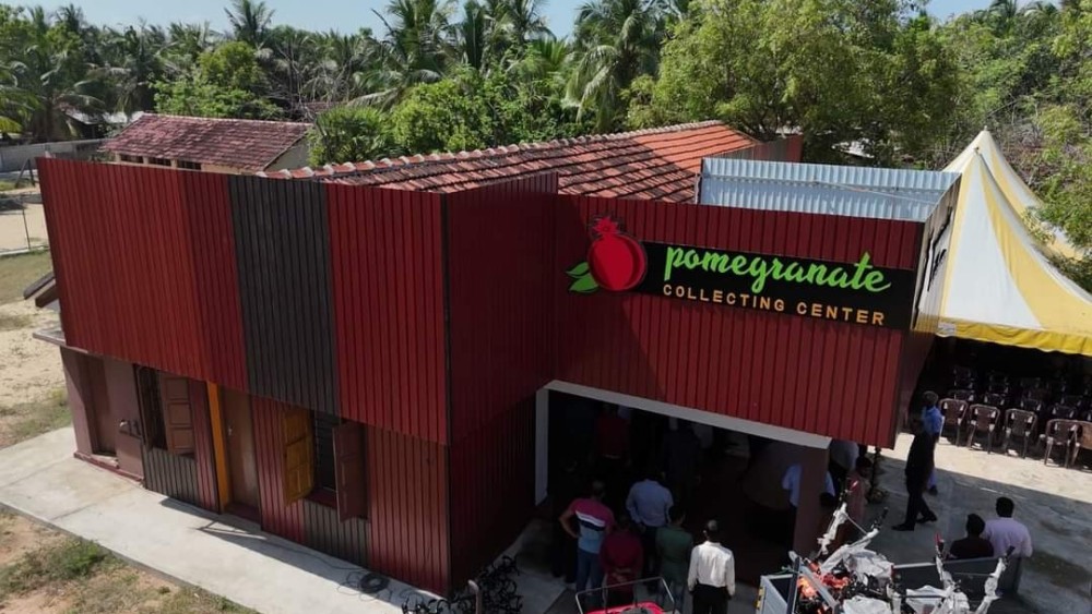 மாதுளை சேகரிப்பு மற்றும் பதப்படுத்தும்  நிலையம் திறந்து வைப்பு