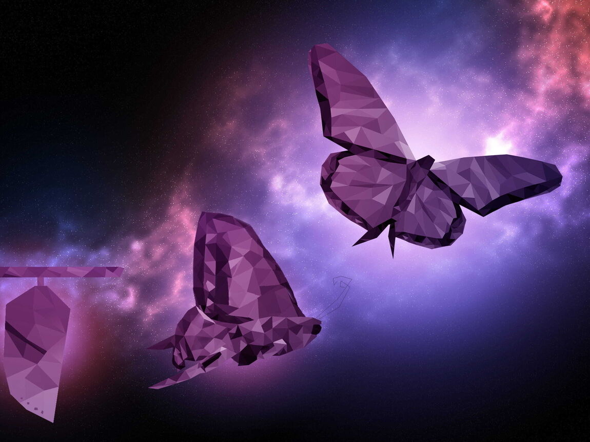 6-week Programme | R.I.S.E. | 9D Breathwork London | 9D Breathwork Peterborough | Conscious Connected Breath London