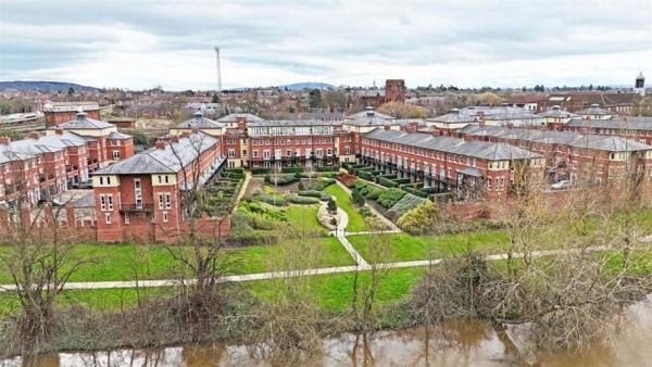 DIG THIS FEBRUARY 2026