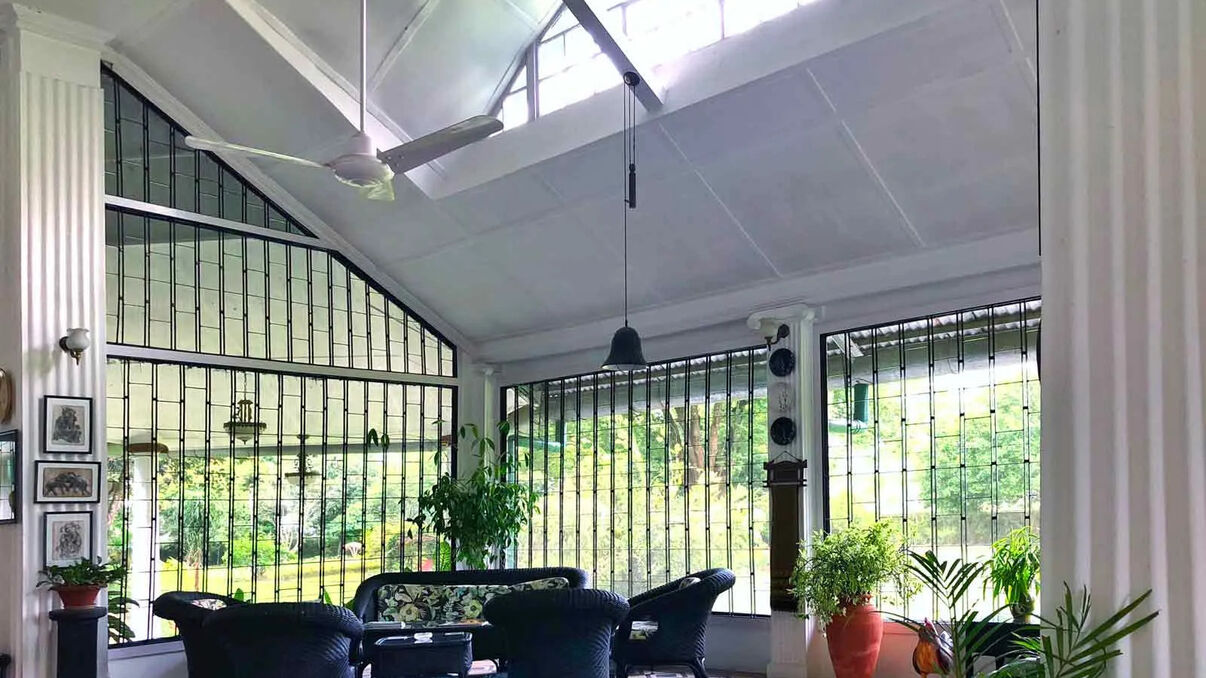 Wild Mahseer Balipada