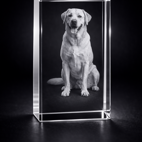 The Superb Arran 3D 12x8x6cm Crystal Block