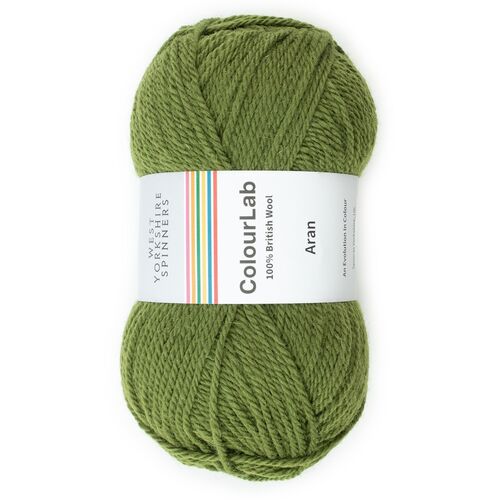 WYSpinners ColourLab Aran Solids