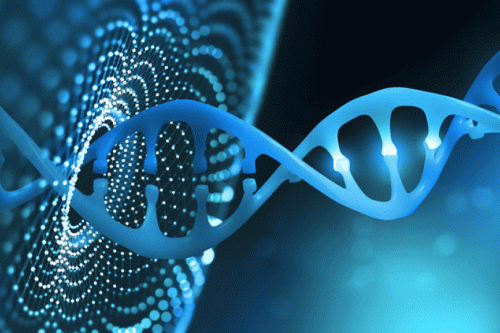 Charting a pathway to collaborative genomics research at the 15th AfSHG Conference in Uganda