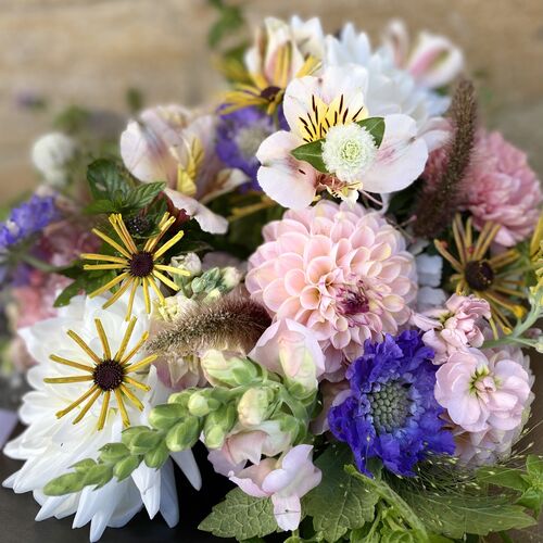 Pick of the Day Subscription