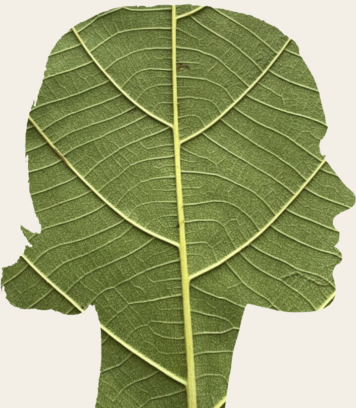 About | Naturopathic Nutritionist