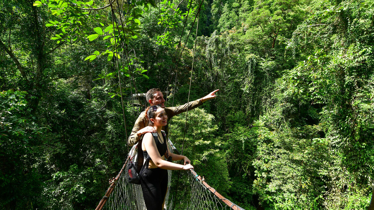 Things To Do | Peacock Tours  | Sri Lanka Luxury Holidays | India Luxury Holidays | Seychelles Luxury Holidays