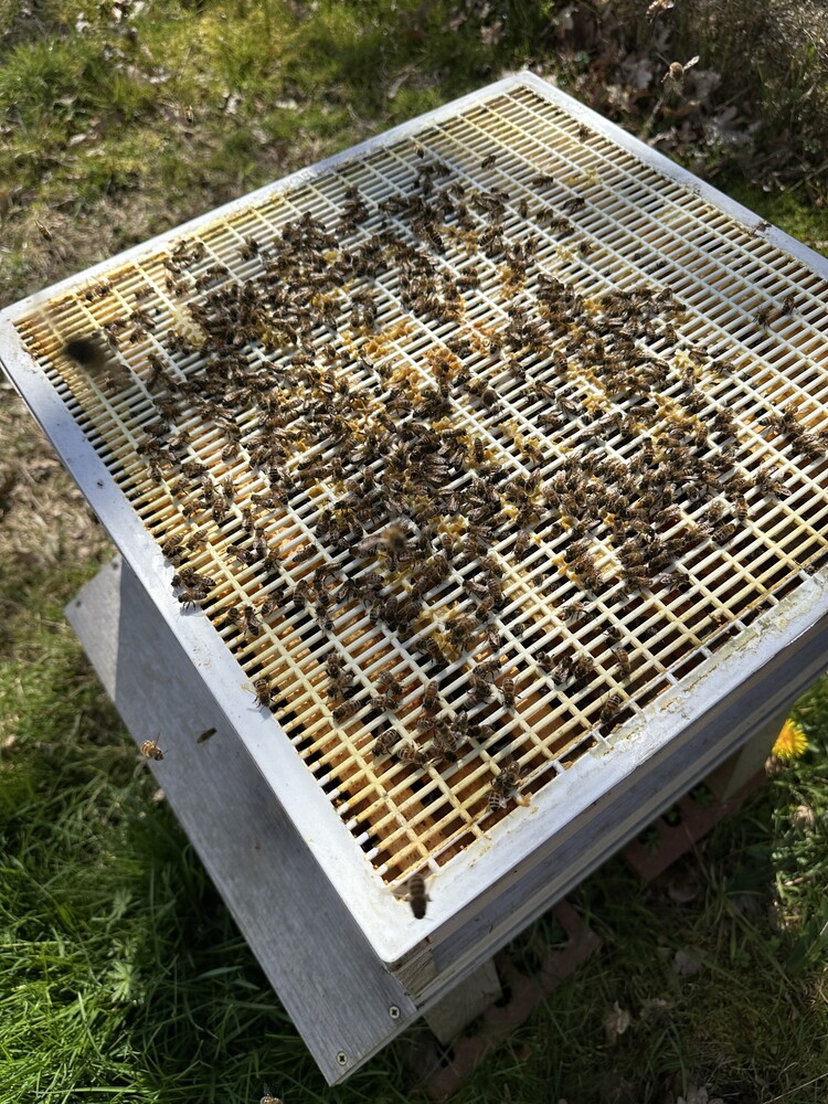 2026 season kicks off!