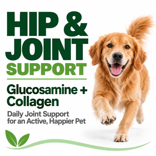Hip & Joint Support Supplement 120 Tablets.