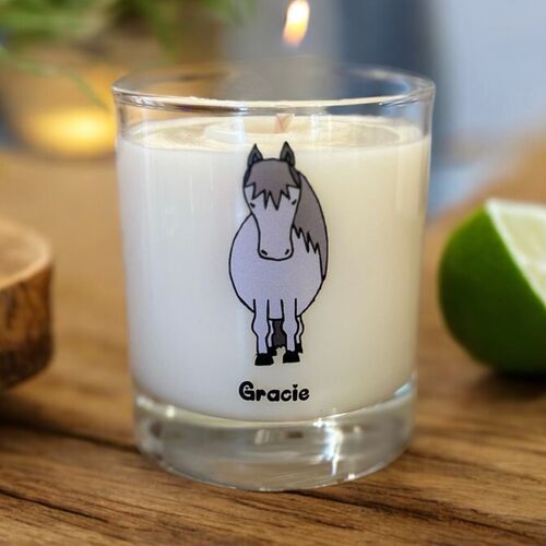 Dinky Pony Collection