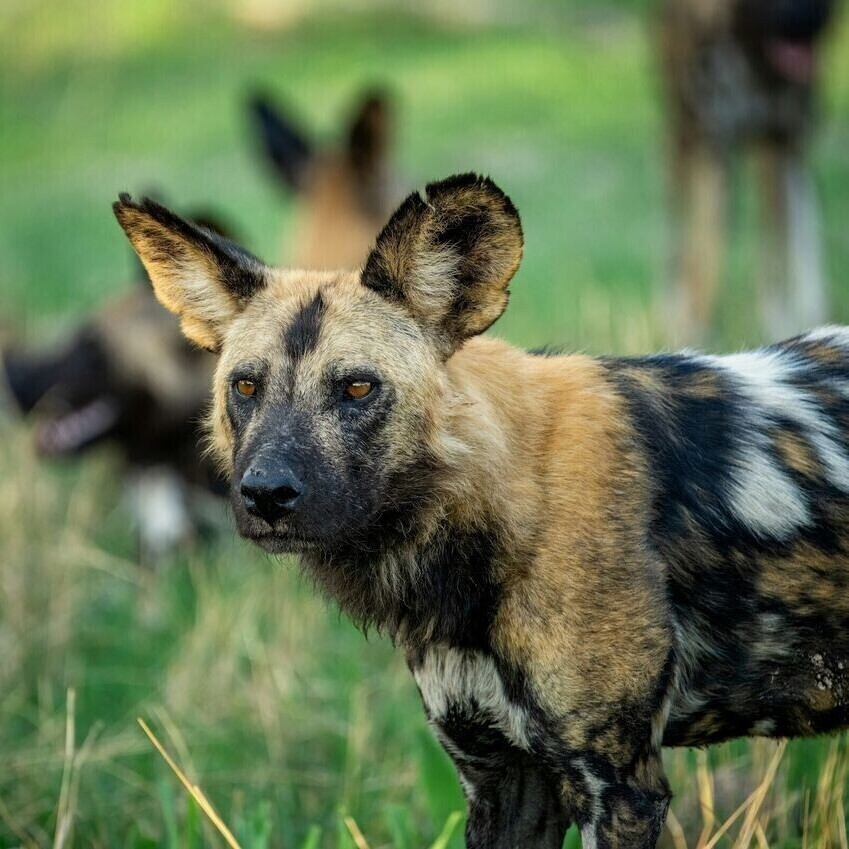 South Africa Retreat