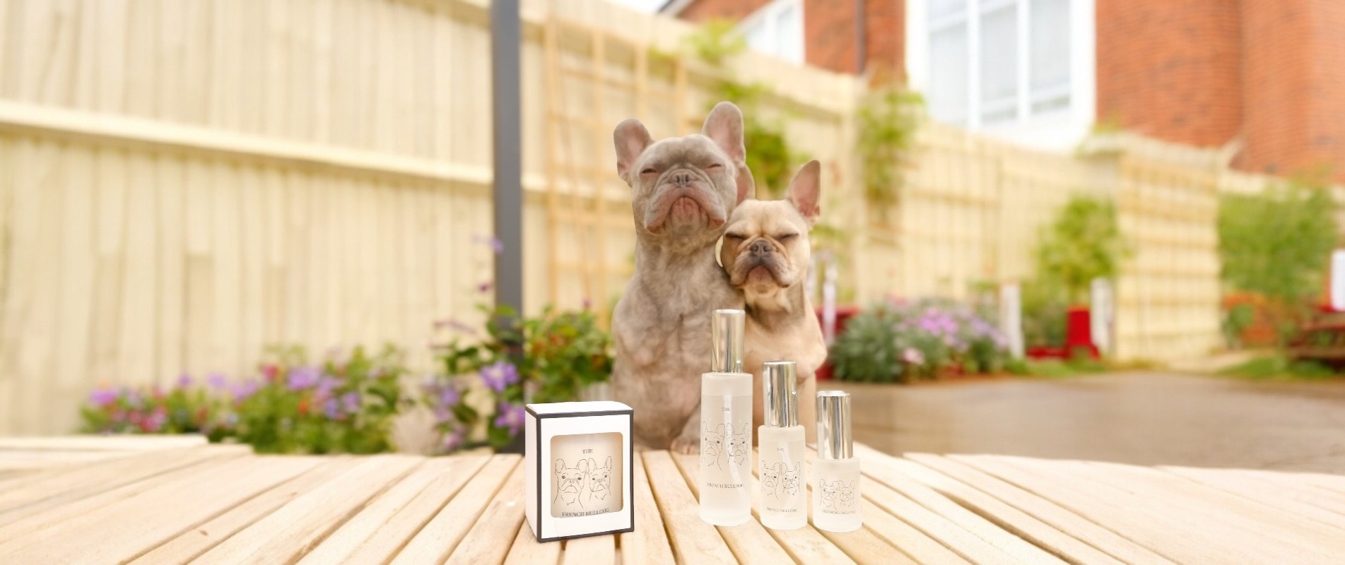 Dog Safe Candles cotswolds