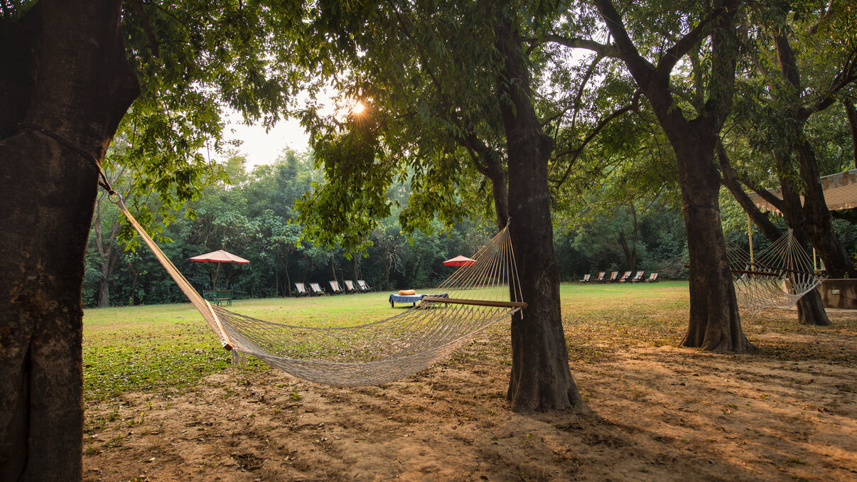 Chambal Safari Lodge