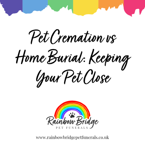 Pet Cremation vs Home Burial: Keeping Your Pet Close