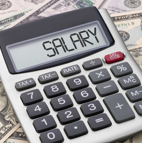 The Transparency Debate: Pros and Cons of Disclosing Salary Ranges in IT Recruitment