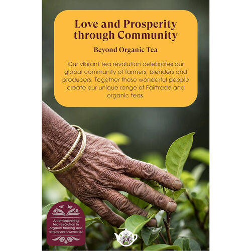 English Tea Shop Organic Everyday Favourites x 40 Tea bags