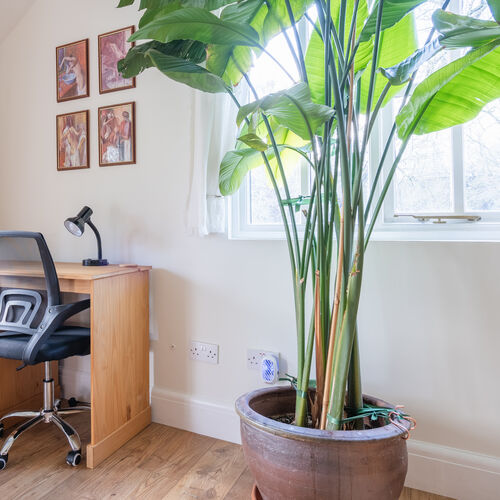 Little Tolpitts Lane, Watford WD18 9QG