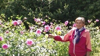 A night at a country dacha