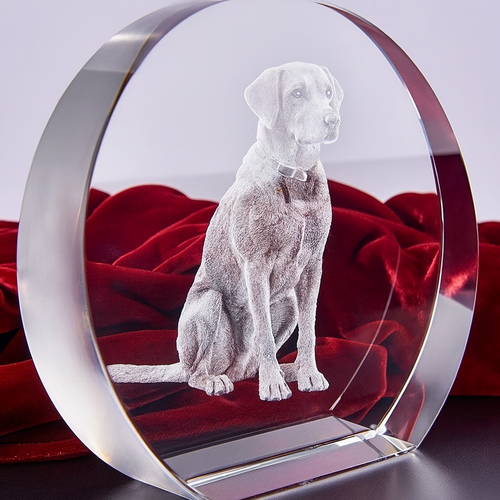 The 3D Harris 100x100x40mm Pure Crystal Circle