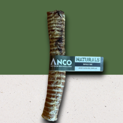 Buffalo Trachea