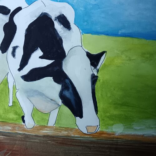 Three cows munching hay