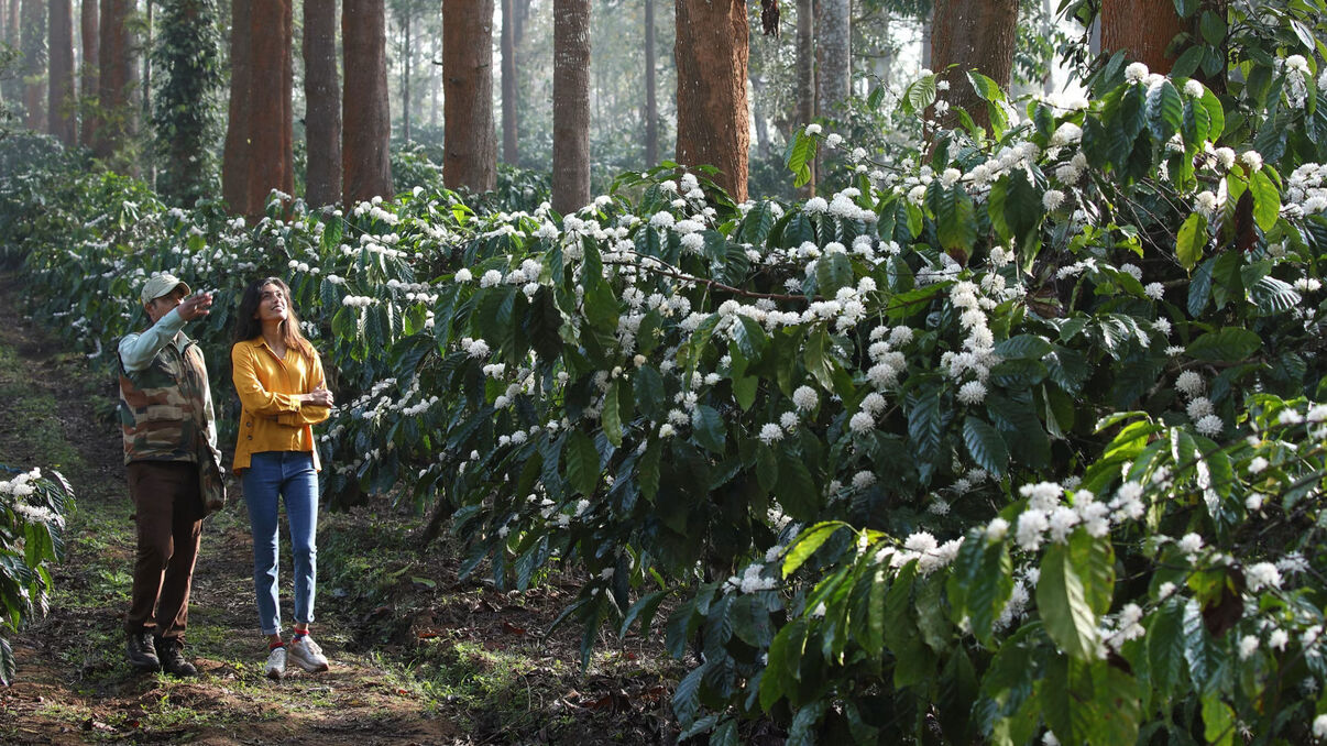 Evolve Back Chikkana Halli Estate