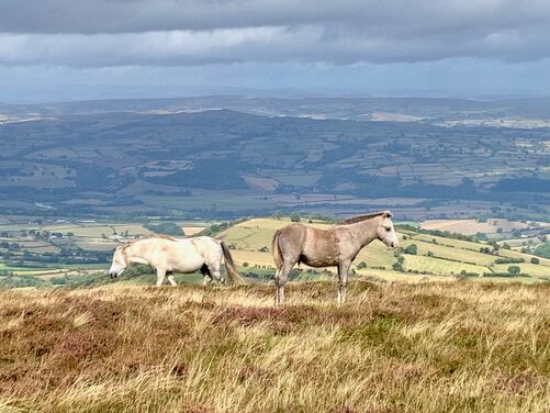 FULL - Monasticism in the Wye Valley, England/Wales borders 2026 - FULL