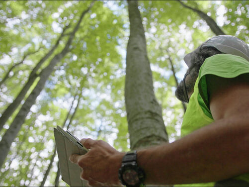 Omega Ecology Ltd | Preliminary Ecological Assessment (PEA)  | Biodiversity Net Gain (BNG )   | Ecological Clerk of Works (ECoWs)   