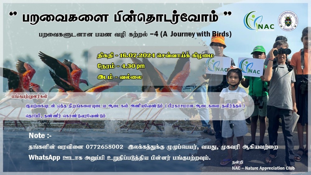 “பறவைகளை பின் தொடர்வோம்”