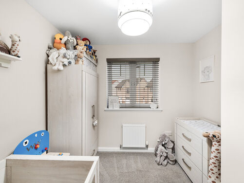 Lapwing Place, Alloa, FK10 1SJ