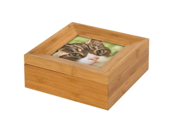 Cat Cremation
