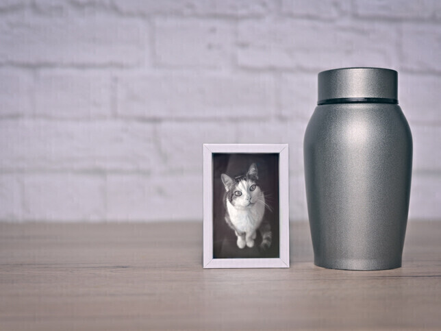 Return of Cremated Remains