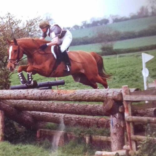 SUMMER EVENTS | Brampton Stables LLP | Riding Lessons in Church Brampton | Horse Riding all ages near Althorp Estate | Learn to Ride near Northampton