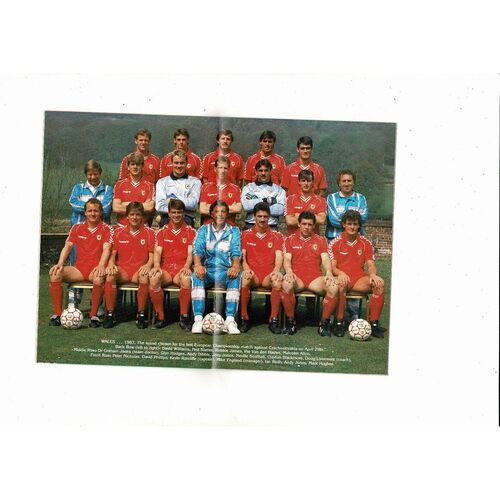 1987 Wales v Denmark Football Programme 1987 at Cardiff