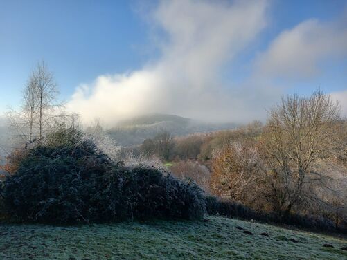 Tintern Abbey - Advent in the Valley