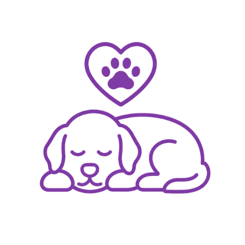 Pet Euthanasia at Rainbow Bridge |