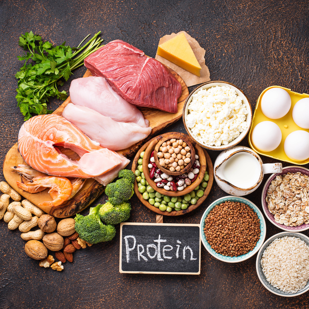 Protein: The Critical Foundation of a Strong Immune System