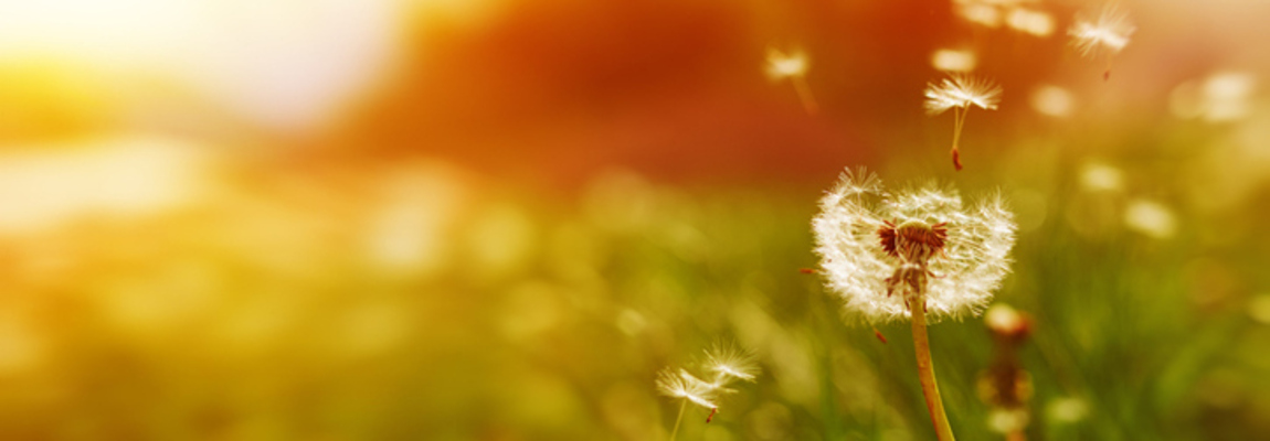 Anxiety, Depression, PTSD, and Trauma Counselling South Wales 