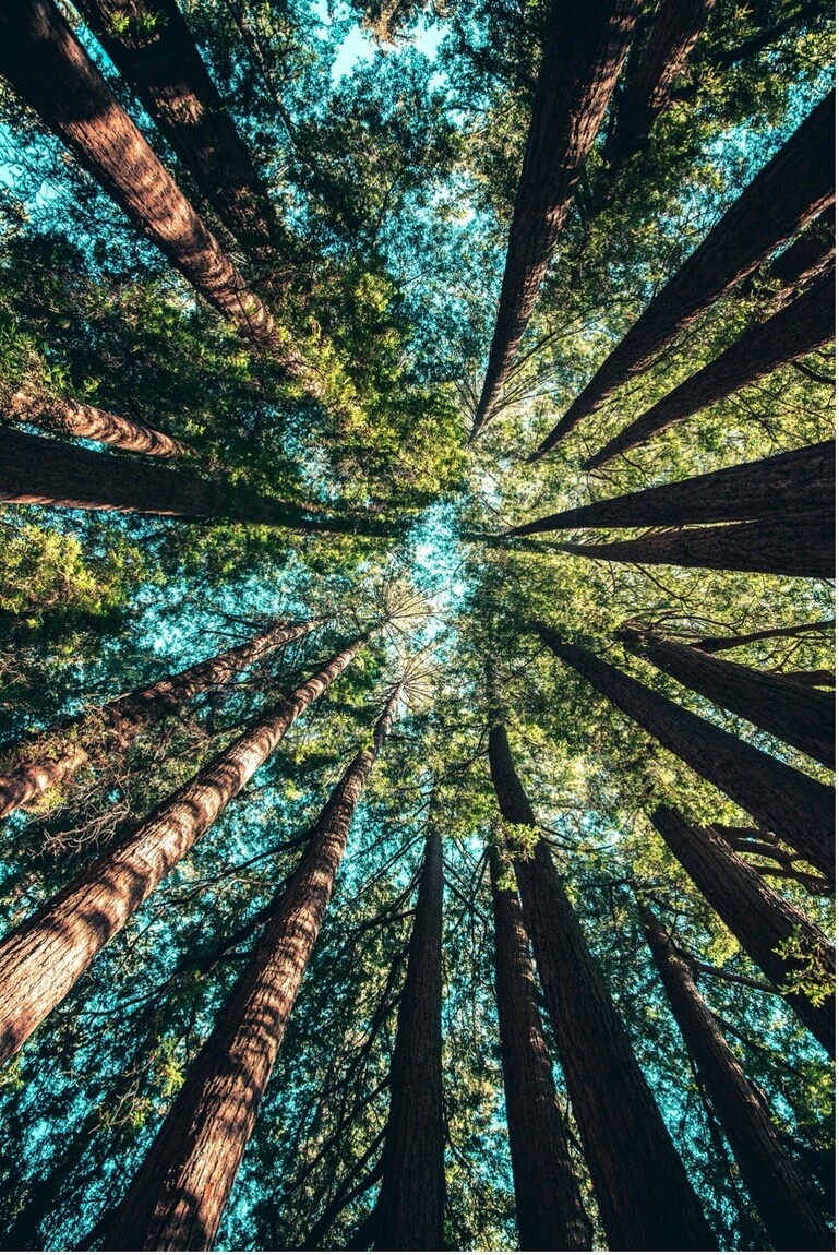  More Than a T-Shirt: Welcome to Blue Bear Prints