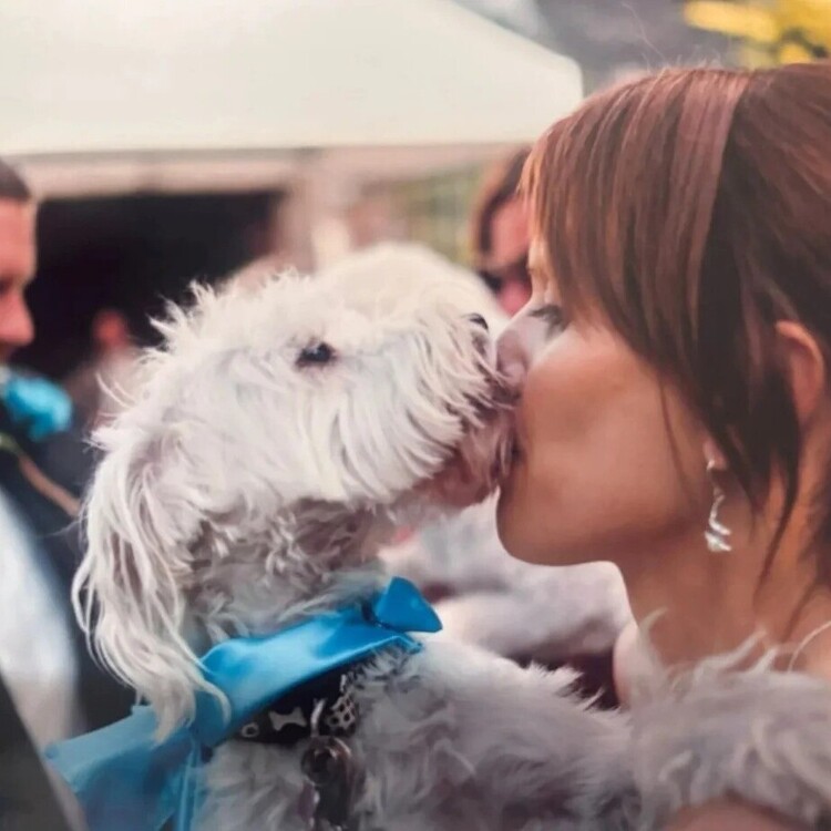 Tails Of Love | Wedding dog chaperone Suffolk | Dog Chaperone for weddings in Suffolk  | Include Your Dog in Your Wedding Day