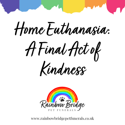 Home Euthanasia: A Final Act of Kindness