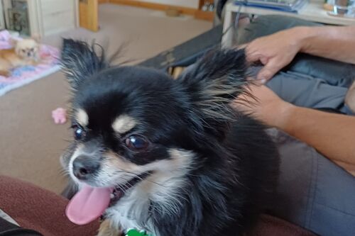 Coco