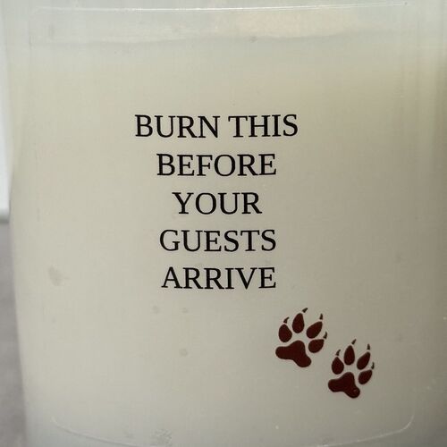 Burn this before your guests arrive candle