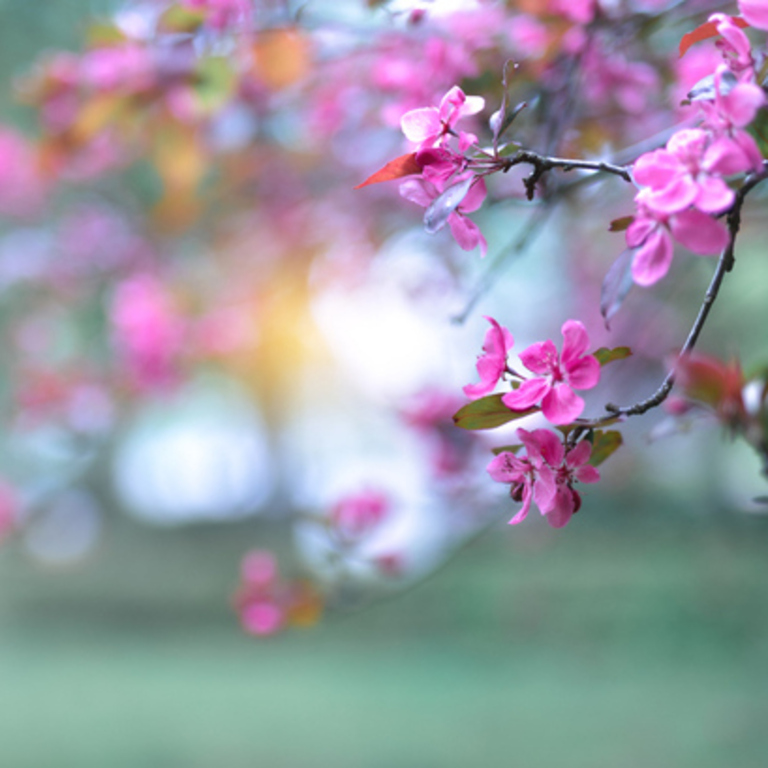 Anxiety, racing thoughts, counselling therapy Merthyr Tydfil 